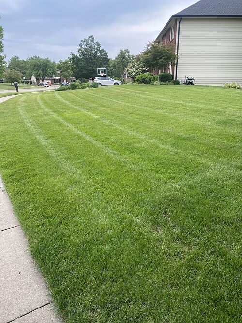 A lawn in West Des Moines, IA