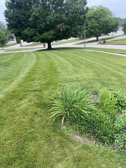 A lawn in West Des Moines, IA