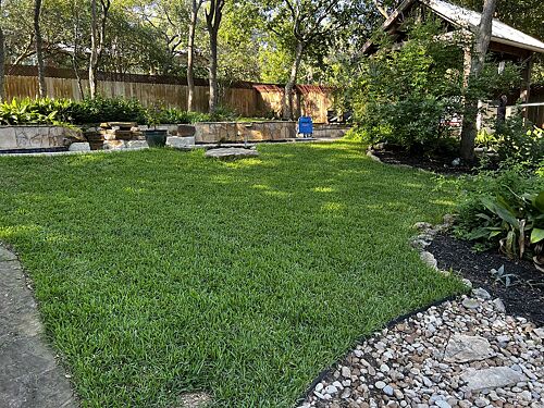 A lawn in San Marcos, TX