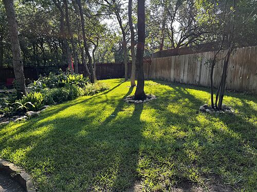 A lawn in San Marcos, TX