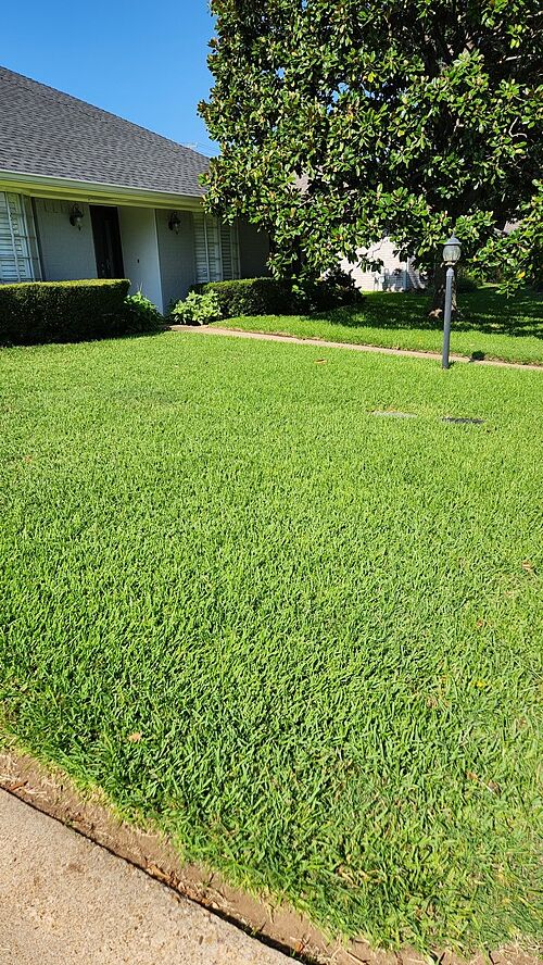 A lawn in Arlington, TX