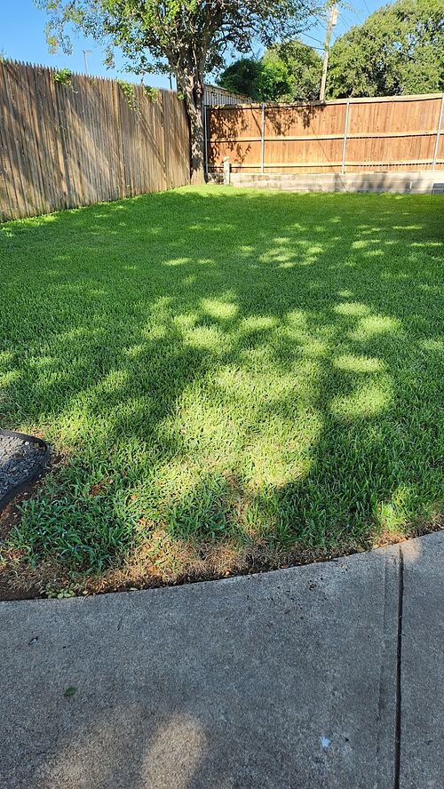 A lawn in Arlington, TX