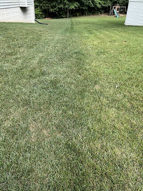 A lawn in Fredericksburg, VA