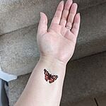 Image of Review by Hannah B. on 29 Jun 2023 number 1