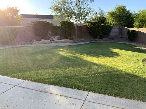 A lawn in Gilbert, AZ