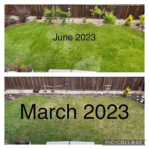 A lawn in Black Diamond, WA