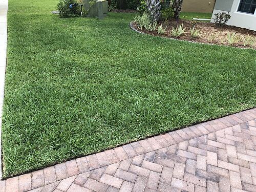 A lawn in Near Naples, FL