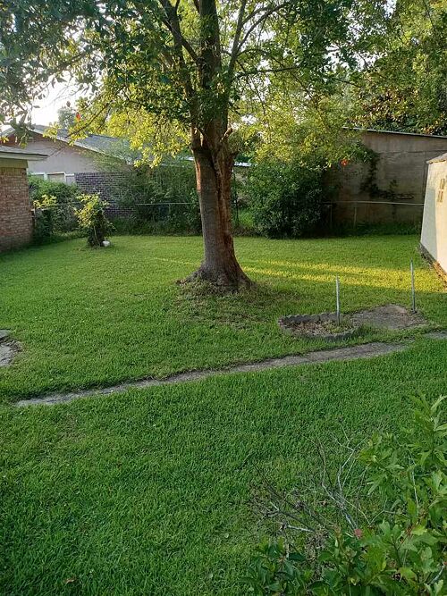 A lawn in Biloxi, MS