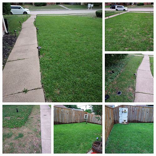 A lawn in The Colony, TX