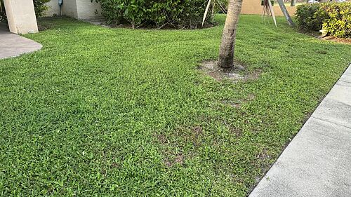 A lawn in Lake Worth, FL