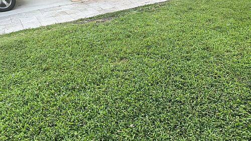 A lawn in Lake Worth, FL