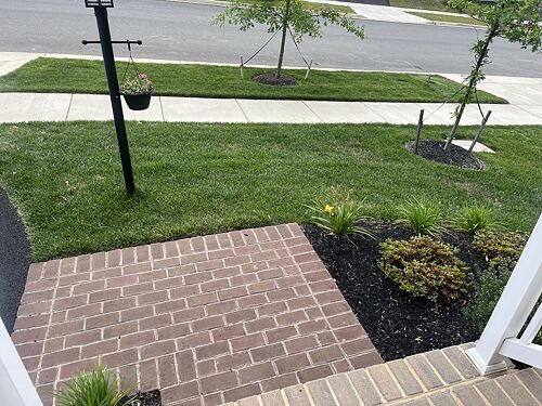 A lawn in Dumfries, VA