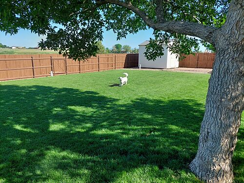 A lawn in Pueblo West, CO