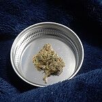 Customer Review Image