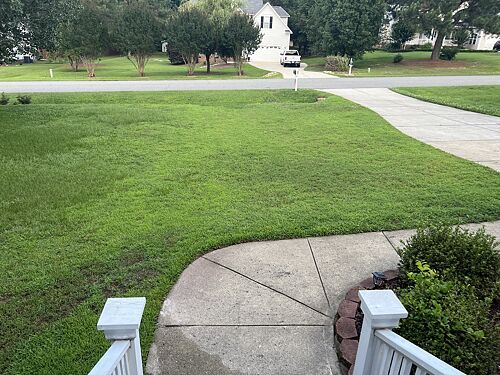 A lawn in Clayton, NC