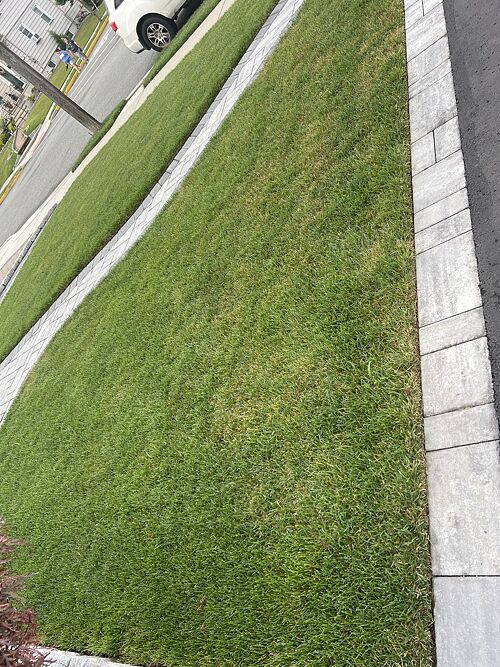 A lawn in Woodridge, NJ