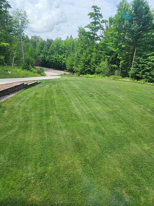 A lawn in Marquette, MI