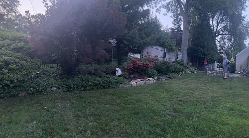 A lawn in Fairfeild, CT