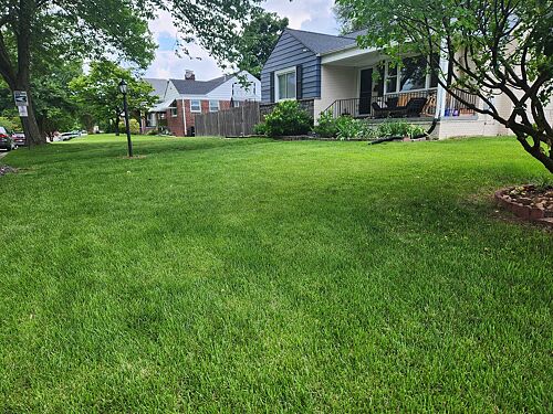 A lawn in Silver Spring, MD