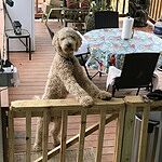 Image of Review by Priscilla S. on  7 Jul 2023 number 1