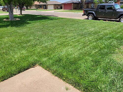 A lawn in Amarillo, TX