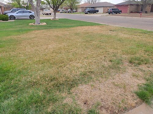 A lawn in Amarillo, TX