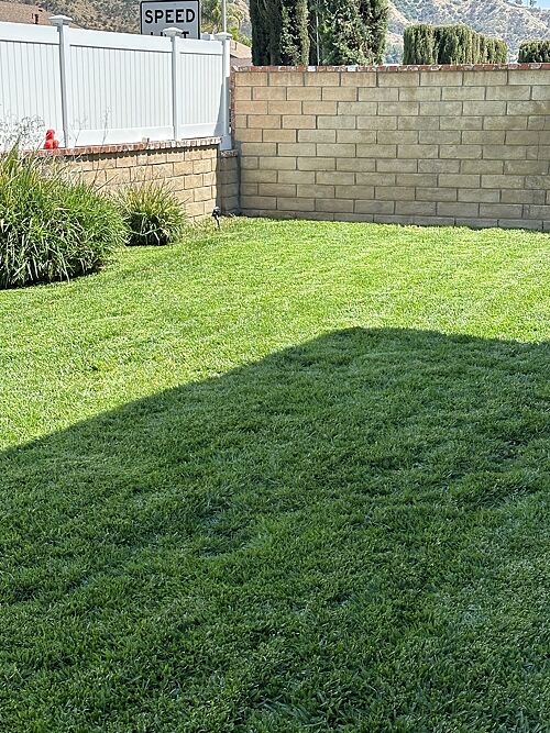 A lawn in Santa Clarita, CA