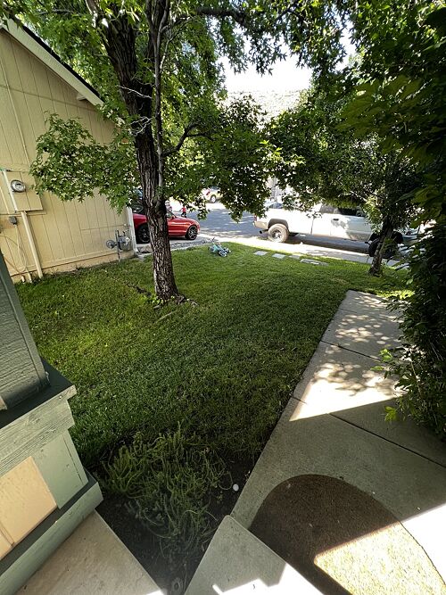 A lawn in Sparks, NV