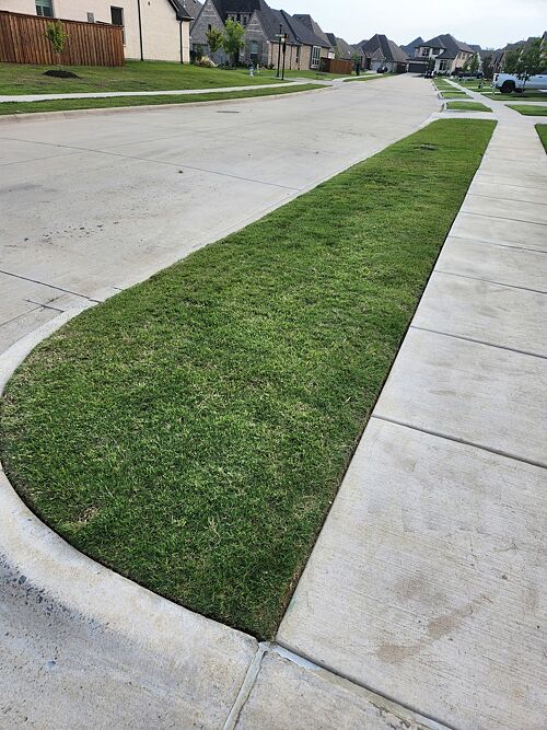 A lawn in McKinney, TX