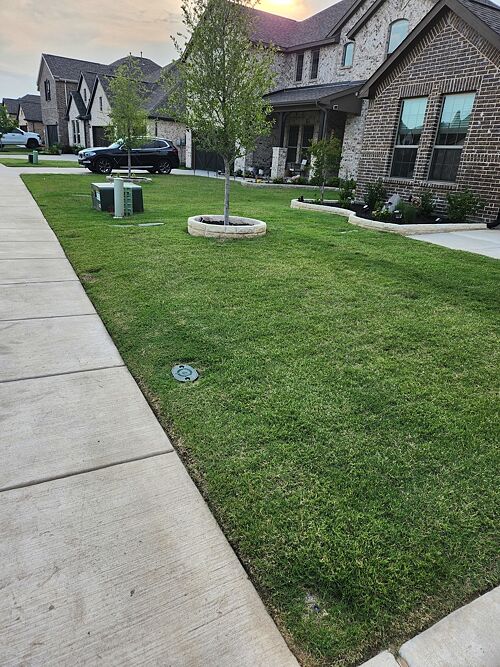 A lawn in McKinney, TX