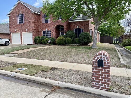 A lawn in Frisco, TX