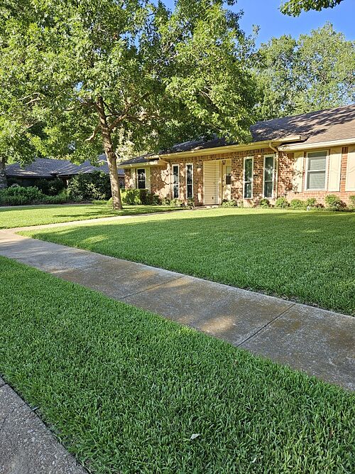 A lawn in Denton, TX