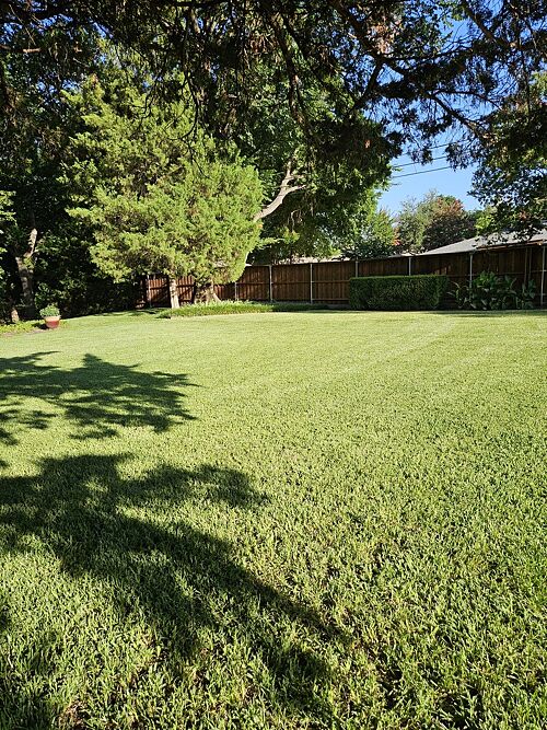 A lawn in Denton, TX