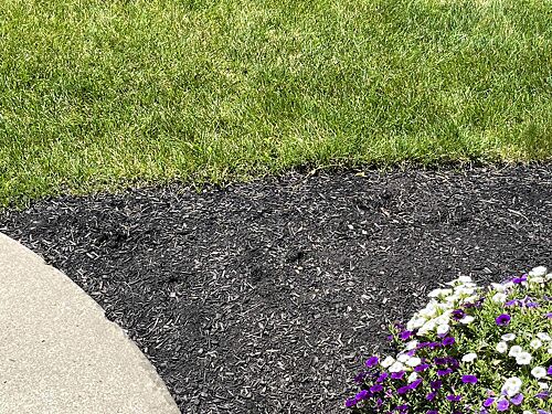 A lawn in Strongsville, OH