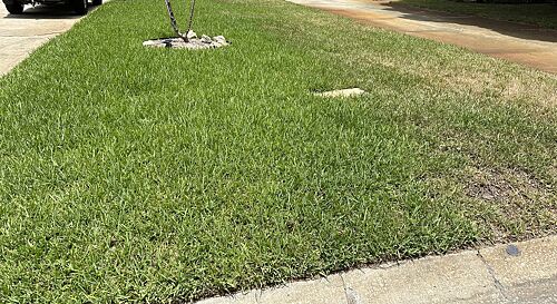 A lawn in Bradenton, FL