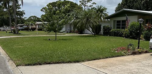 A lawn in Bradenton, FL