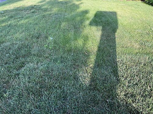 A lawn in Canton, MI