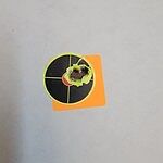 Image of Review by David L. on 16 Jul 2023 number 1