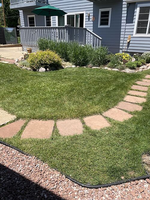 A lawn in Boulder, CO