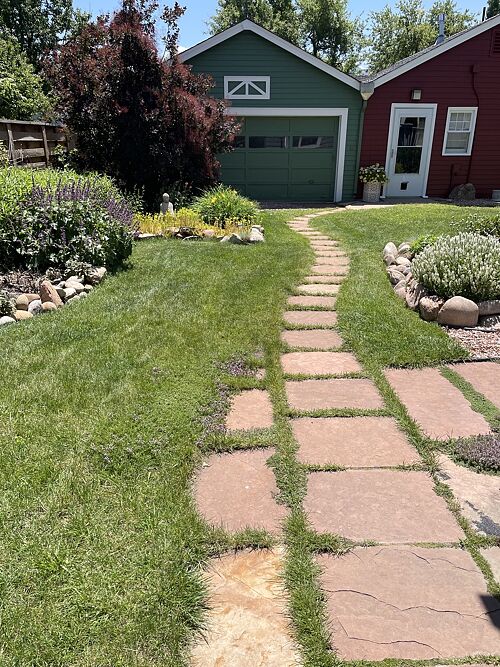 A lawn in Boulder, CO