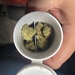 Customer Review Image