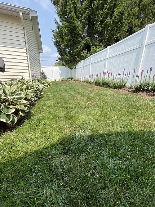 A lawn in Morgantown, WV