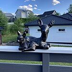 Image of Review by ALLAN C. on 23 Jul 2023 number 1