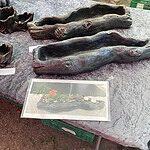 Image of Review by ALLAN C. on 23 Jul 2023 number 4