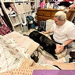 Image of Review by Catherine S. on 24 Jul 2023 number 1