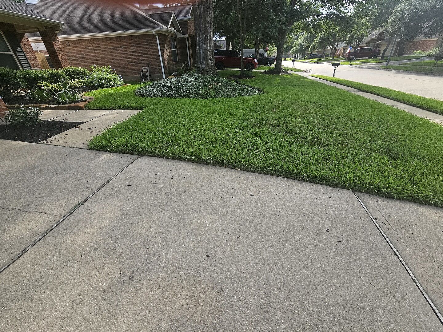 Sunday lawn care