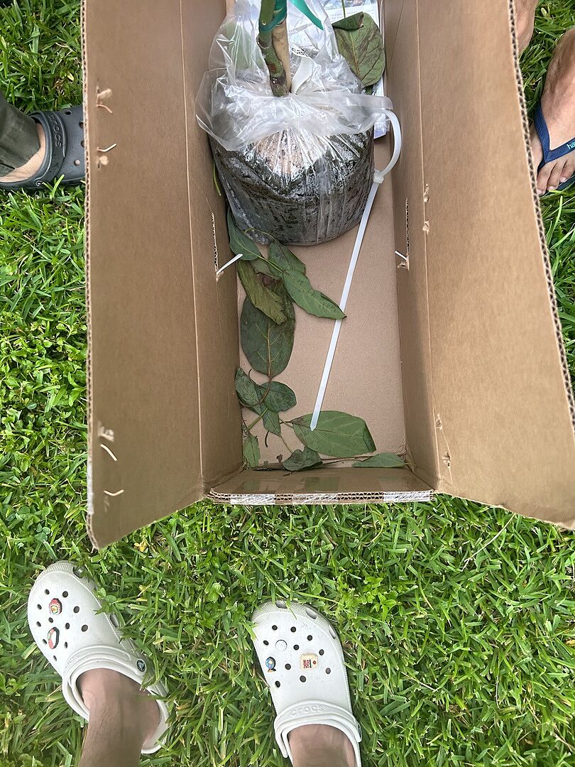 Brighter Blooms is the best,