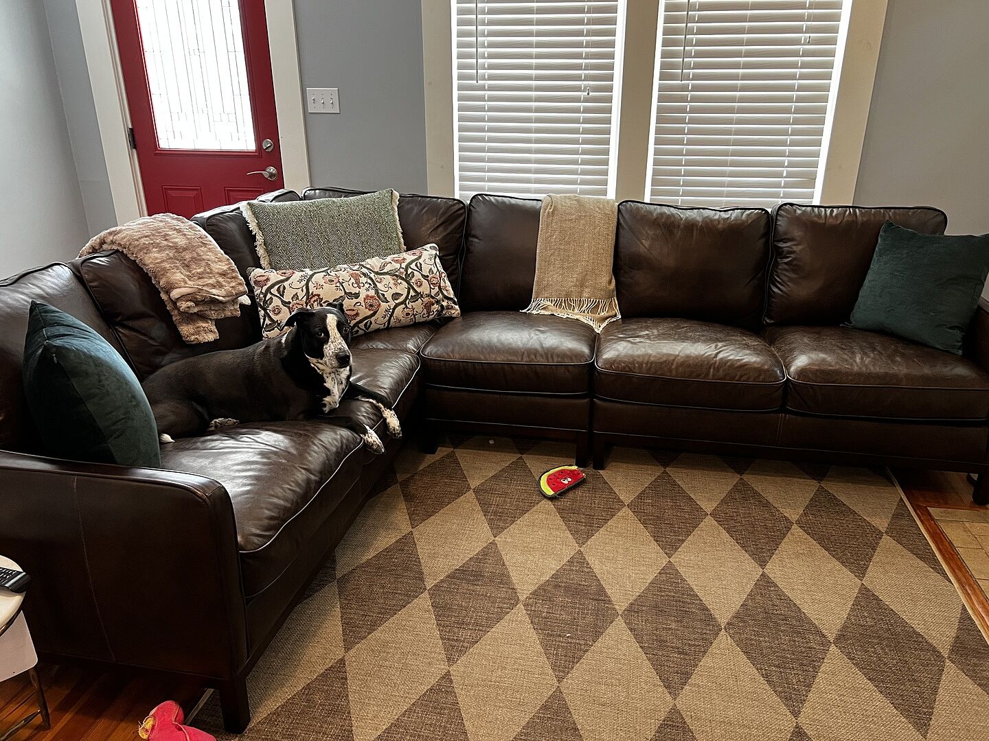 Palazzo Latte Brown ReJute Rug