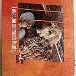 Image of Review by Vicky E. on 15 Aug 2023 number 1