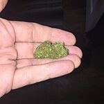 Customer Review Image
